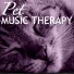 Pet Music World