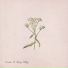 Casiio & Sling Dilly
