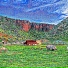 Babalkerin Olia