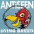 Antiseen