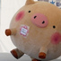 meltycanon