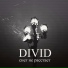 DiViD
