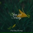 Meditation Awareness, Musica Reiki, Calming Sounds