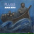 PLUSS