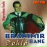 Branimir Djokic Bane