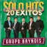 Grupo Bryndis