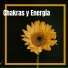 Meditacion Budista Maestros