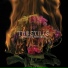 The Stills