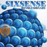 Future Prophecy & Sixsense & Xwide