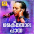 Jithesh Kakkidippuram