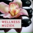 Ontspanning Meditations