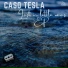Caso Tesla