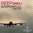 Deepswell