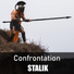 STALIK
