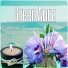 SPA & Wellness Massage Masters