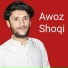 Awoz shoqi