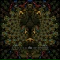 Space Organ