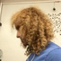 HARJGTHEONE DBA