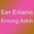 Eer Erlianis