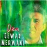 Cewad Merwanî