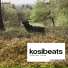 Kosibeats