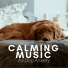 Calming Piano Music
