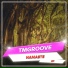 TMGROOVE
