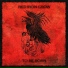 Red Iron Crow