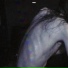 BONES