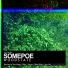 Somepoe