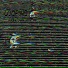 l00ping