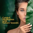 Guided Meditation Music Zone
