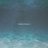 Ambient Dreamer
