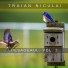 Traian Niculai