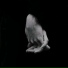 L'NUR