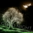 Night Music Club