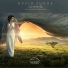 David Surok