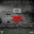 Harry Fraud & Various Artists