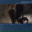 Helge Lien Trio