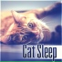 Pet Music Academy