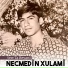 Necmedîn Xulamî