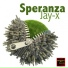 Jay-x