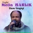 DENGBEJ METİN BARLİK