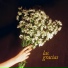 SAINT-ANDREU feat. Guido Flichman
