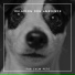 Dog Chill Out Music