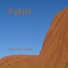 FeNN