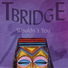 T Bridge