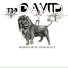 Bro David