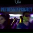 Pechenkinproject