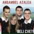 Ansambel Azalea